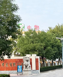 眾升科技高壓無功補償柜 --助力山東福洋生物科技股份有限公司,高效用電、改善用電質(zhì)量！