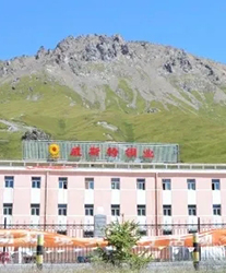 眾升科技系統(tǒng)輕載補(bǔ)償裝置--助力青海威斯特銅業(yè)有限責(zé)任公司，高效用電、改善電能質(zhì)量！